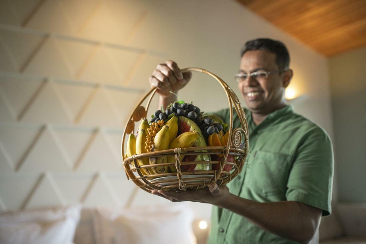 Giritale Hotel Polonnaruwa Zewnętrze zdjęcie